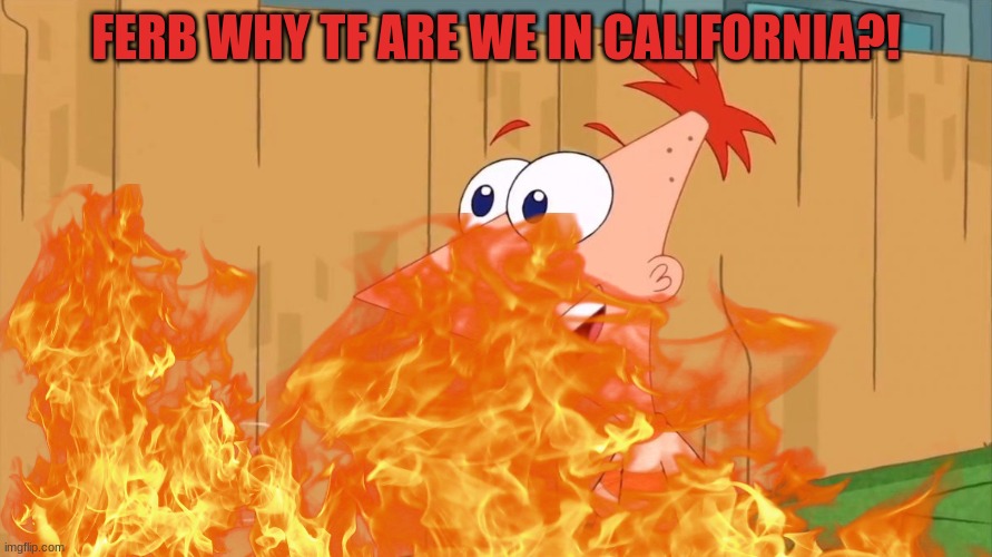 Yes Phineas | FERB WHY TF ARE WE IN CALIFORNIA?! | image tagged in yes phineas | made w/ Imgflip meme maker