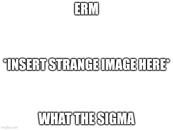 ERM; *INSERT STRANGE IMAGE HERE*; WHAT THE SIGMA | made w/ Imgflip meme maker