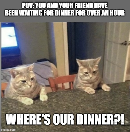 Waiting | POV: YOU AND YOUR FRIEND HAVE BEEN WAITING FOR DINNER FOR OVER AN HOUR; WHERE'S OUR DINNER?! | image tagged in waiting | made w/ Imgflip meme maker