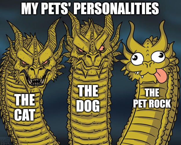 Pet rock rocks | MY PETS' PERSONALITIES; THE DOG; THE PET ROCK; THE CAT | image tagged in three-headed dragon,funny,funny memes,fun,pets | made w/ Imgflip meme maker