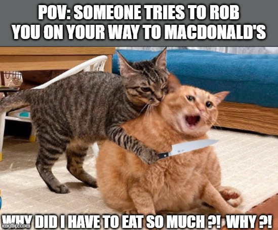 Getting robbed | POV: SOMEONE TRIES TO ROB YOU ON YOUR WAY TO MACDONALD'S; WHY DID I HAVE TO EAT SO MUCH ?!  WHY ?! | image tagged in getting robbed | made w/ Imgflip meme maker