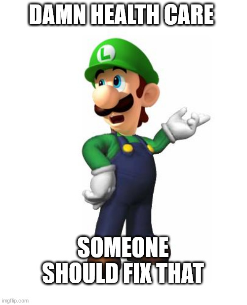 Logic Luigi | DAMN HEALTH CARE; SOMEONE SHOULD FIX THAT | image tagged in logic luigi,uhc | made w/ Imgflip meme maker