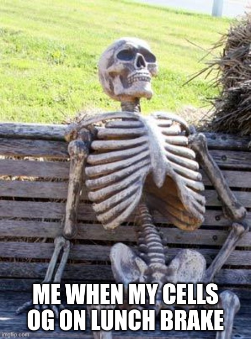 Waiting Skeleton Meme | ME WHEN MY CELLS OG ON LUNCH BRAKE | image tagged in memes,waiting skeleton | made w/ Imgflip meme maker