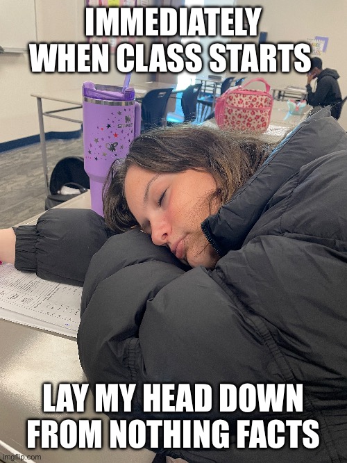 Sleepy Me | IMMEDIATELY WHEN CLASS STARTS; LAY MY HEAD DOWN FROM NOTHING FACTS | made w/ Imgflip meme maker