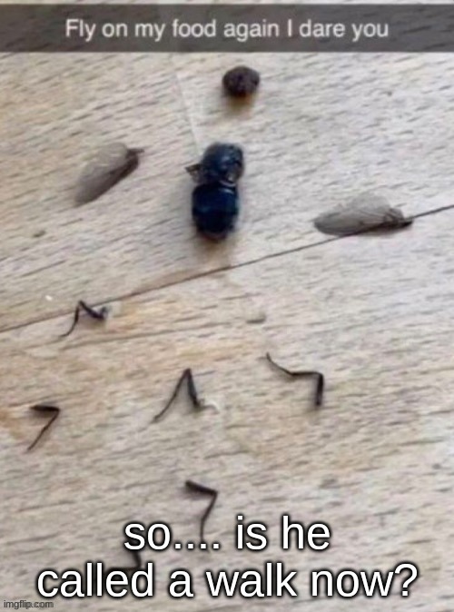 he wont be flying anymore I guess | so.... is he called a walk now? | image tagged in funny,memes,fly,walk,food | made w/ Imgflip meme maker