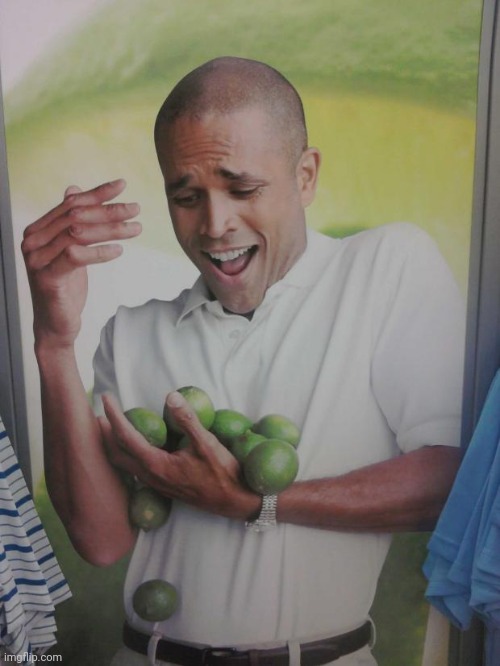 I didnt make the tags | image tagged in memes,why can't i hold all these limes | made w/ Imgflip meme maker