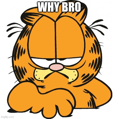 WHY BRO | image tagged in garfield | made w/ Imgflip meme maker