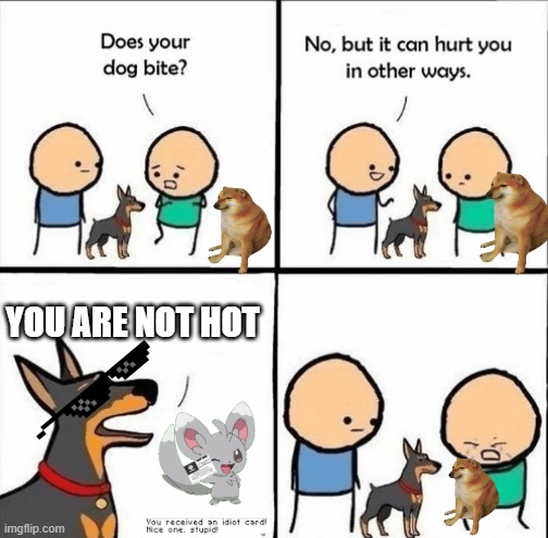 0 rizz lol | YOU ARE NOT HOT | image tagged in dog meme | made w/ Imgflip meme maker