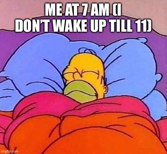 Homer Simpson sleeping peacefully | ME AT 7 AM (I DON’T WAKE UP TILL 11) | image tagged in homer simpson sleeping peacefully | made w/ Imgflip meme maker