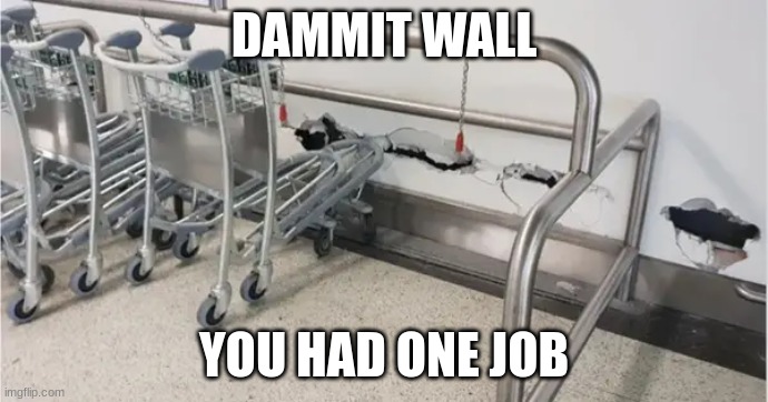 DAMMIT WALL; YOU HAD ONE JOB | image tagged in memes,you had one job | made w/ Imgflip meme maker