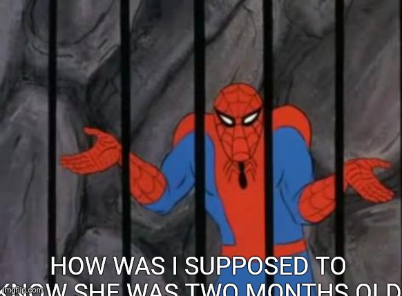 spiderman jail | HOW WAS I SUPPOSED TO KNOW SHE WAS TWO MONTHS OLD | image tagged in spiderman jail | made w/ Imgflip meme maker