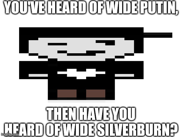 YOU'VE HEARD OF WIDE PUTIN, THEN HAVE YOU HEARD OF WIDE SILVERBURN? | made w/ Imgflip meme maker