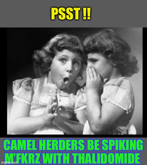 PSST !! CAMEL HERDERS BE SPIKING M’FKRZ WITH THALIDOMIDE | image tagged in friends sharing | made w/ Imgflip meme maker