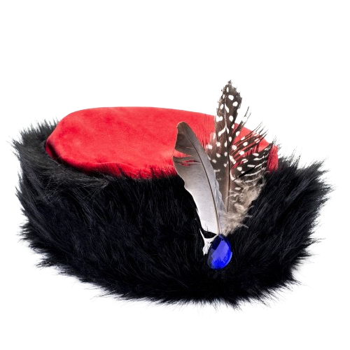 Polish Noble Cap Blank Meme Template