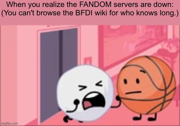 I hate it when this happens. | When you realize the FANDOM servers are down:
(You can't browse the BFDI wiki for who knows long.) | image tagged in tpot snowball no | made w/ Imgflip meme maker