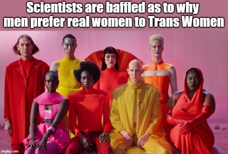 Jaguar Council | Scientists are baffled as to why 
men prefer real women to Trans Women | image tagged in jaguar council | made w/ Imgflip meme maker