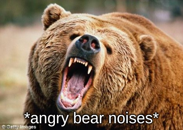 Angry Bear | *angry bear noises* | image tagged in angry bear | made w/ Imgflip meme maker