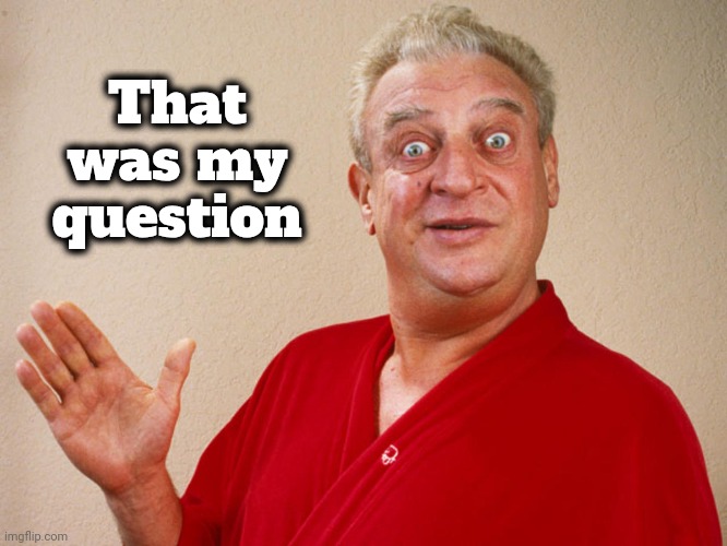 Rodney Dangerfield For Pres | That was my question | image tagged in rodney dangerfield for pres | made w/ Imgflip meme maker