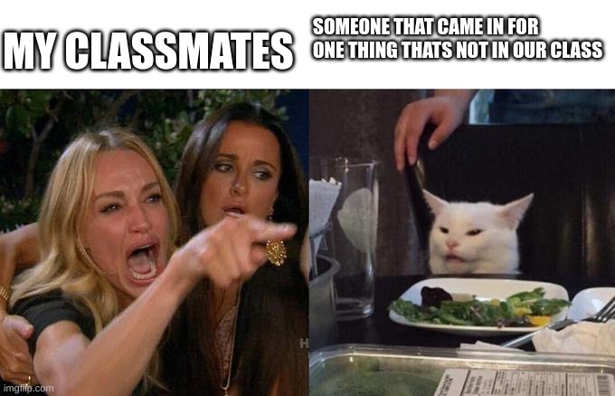 Woman Yelling At Cat | SOMEONE THAT CAME IN FOR ONE THING THATS NOT IN OUR CLASS; MY CLASSMATES | image tagged in memes,woman yelling at cat,school | made w/ Imgflip meme maker