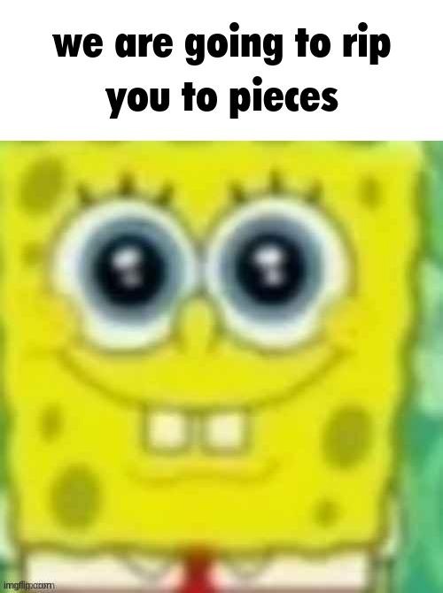 fuck Steve mains | image tagged in spangledob | made w/ Imgflip meme maker