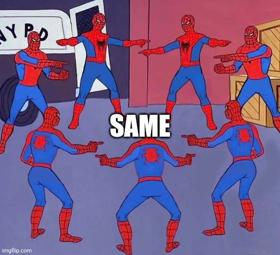 same spider man 7 | SAME | image tagged in same spider man 7 | made w/ Imgflip meme maker