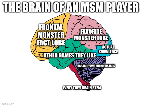 This is my brain real. | THE BRAIN OF AN MSM PLAYER; FRONTAL MONSTER FACT LOBE; FAVORITE MONSTER LOBE; ACTUAL KNOWLEDGE; OTHER GAMES THEY LIKE; HAHAGUFFAWCHUCKLEAMAGUS; (VERY TINY) BRAIN STEM | image tagged in my singing monsters,brain | made w/ Imgflip meme maker