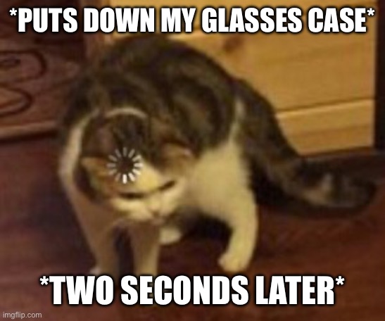 Loading cat | *PUTS DOWN MY GLASSES CASE*; *TWO SECONDS LATER* | image tagged in loading cat | made w/ Imgflip meme maker