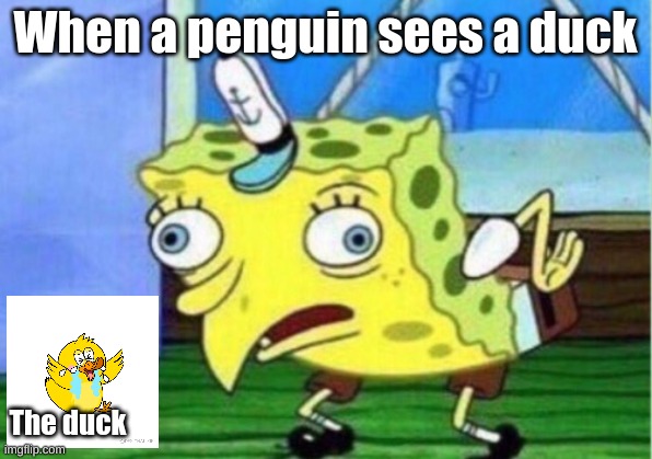 Mocking Spongebob | When a penguin sees a duck; The duck | image tagged in memes,mocking spongebob,duck face chicks | made w/ Imgflip meme maker