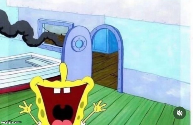 spongebob yelling | image tagged in spongebob yelling | made w/ Imgflip meme maker