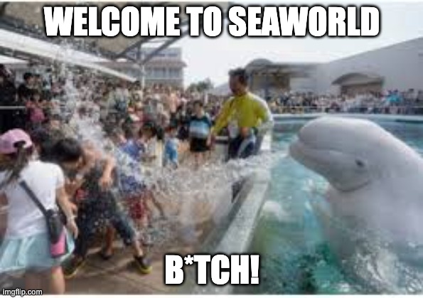 WELCOME TO SEAWORLD MF! | WELCOME TO SEAWORLD; B*TCH! | image tagged in welcome to seaworld mf,whale,beluga,seaworld | made w/ Imgflip meme maker