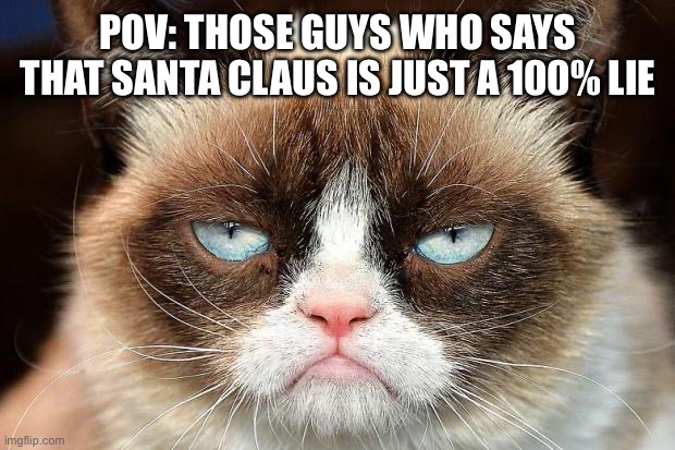 Grumpy Cat Not Amused | POV: THOSE GUYS WHO SAYS THAT SANTA CLAUS IS JUST A 100% LIE | image tagged in memes,grumpy cat not amused,grumpy cat,christmas,merry christmas,xmas | made w/ Imgflip meme maker