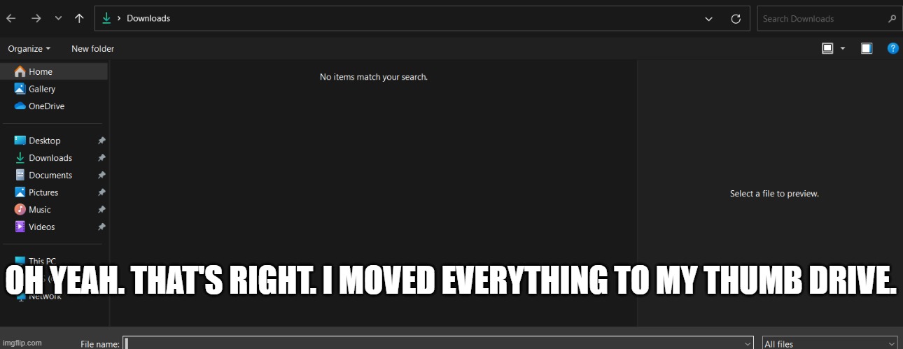 OH YEAH. THAT'S RIGHT. I MOVED EVERYTHING TO MY THUMB DRIVE. | made w/ Imgflip meme maker