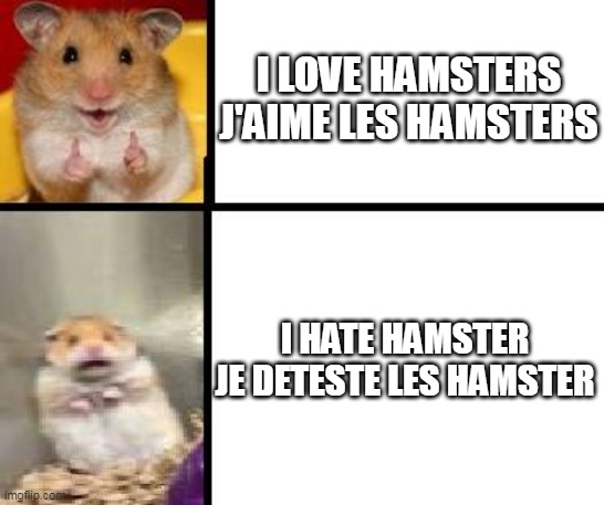 hamster/les hamster | I LOVE HAMSTERS
J'AIME LES HAMSTERS; I HATE HAMSTER

JE DETESTE LES HAMSTER | image tagged in hamster happy and hamster scary | made w/ Imgflip meme maker