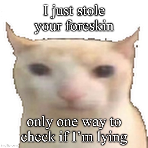 uh | I just stole your foreskin; only one way to check if I’m lying | image tagged in low quality cat | made w/ Imgflip meme maker