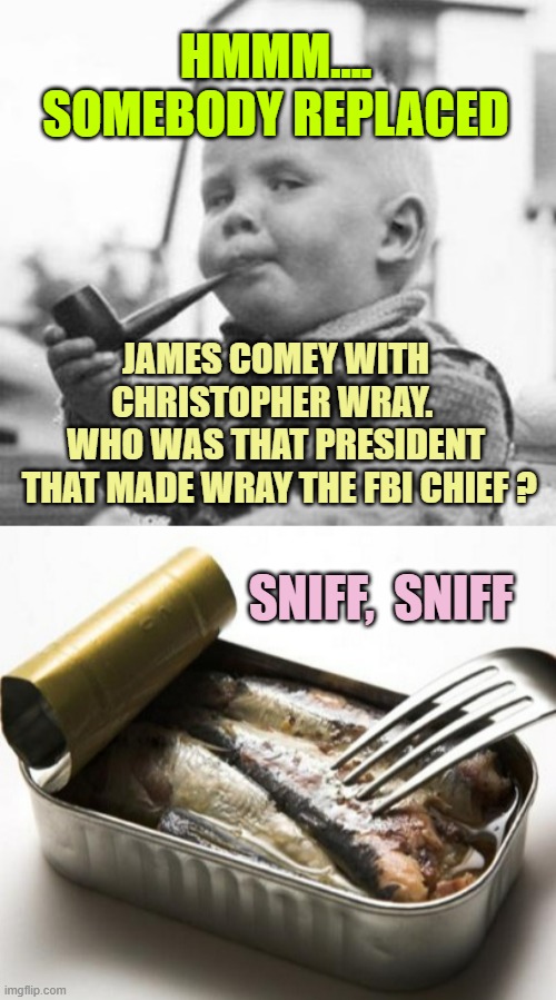 HMMM....
SOMEBODY REPLACED JAMES COMEY WITH CHRISTOPHER WRAY. 
WHO WAS THAT PRESIDENT
 THAT MADE WRAY THE FBI CHIEF ? SNIFF,  SNIFF | image tagged in think about it,forking democrats smells fishy | made w/ Imgflip meme maker