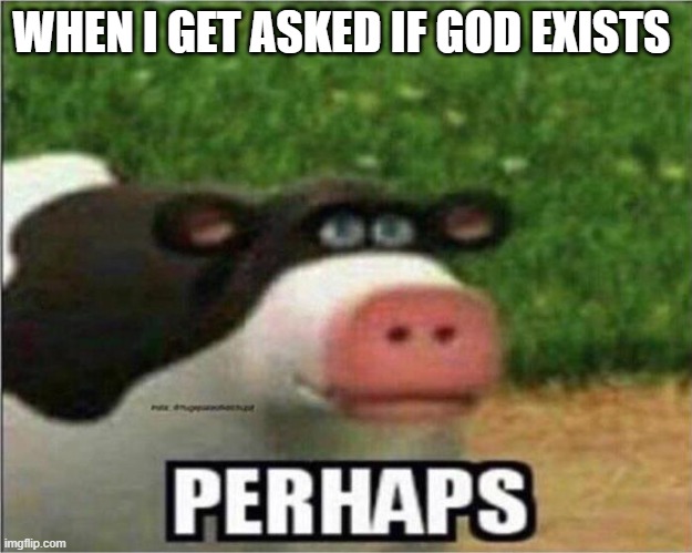 I'm agnostic | WHEN I GET ASKED IF GOD EXISTS | image tagged in perhaps cow | made w/ Imgflip meme maker