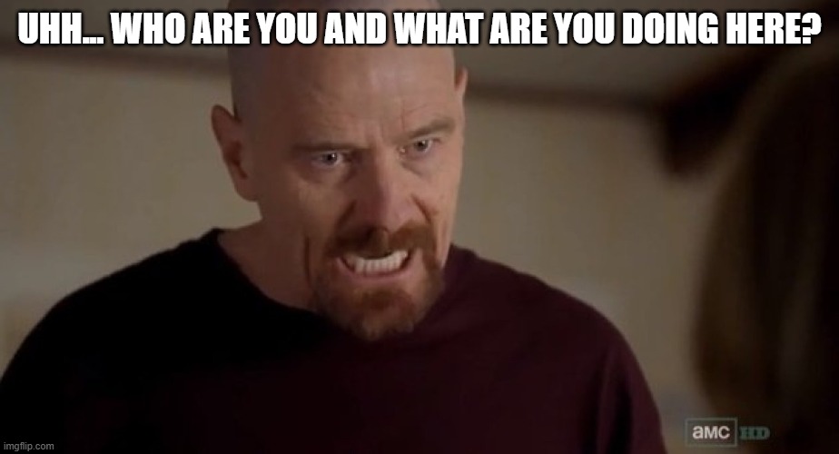 I am the one who knocks | UHH... WHO ARE YOU AND WHAT ARE YOU DOING HERE? | image tagged in i am the one who knocks | made w/ Imgflip meme maker