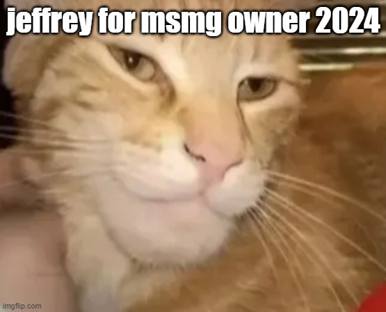 cat mewing | jeffrey for msmg owner 2024 | image tagged in cat mewing | made w/ Imgflip meme maker