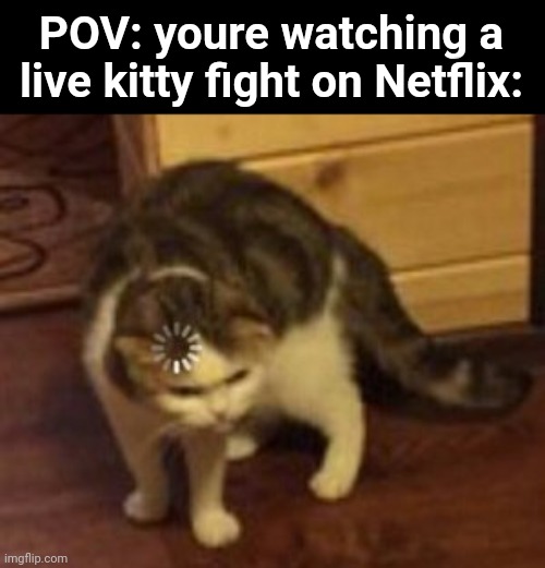 Lol | POV: youre watching a live kitty fight on Netflix: | image tagged in loading cat | made w/ Imgflip meme maker