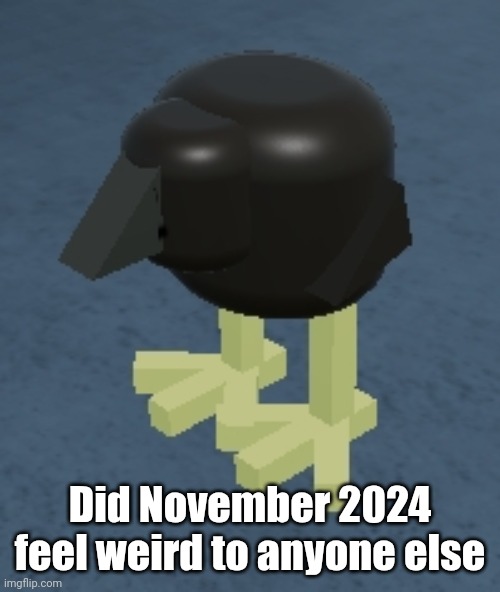 ㅤ | Did November 2024 feel weird to anyone else | image tagged in roblox pukeko,2024 | made w/ Imgflip meme maker