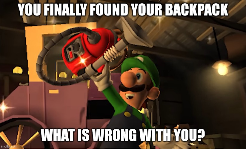 Backpack LMDM | YOU FINALLY FOUND YOUR BACKPACK; WHAT IS WRONG WITH YOU? | image tagged in luigi | made w/ Imgflip meme maker