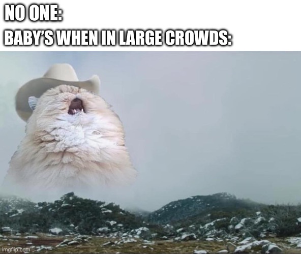 yeeeHEEEEEEEEEEEE | NO ONE:; BABY’S WHEN IN LARGE CROWDS: | image tagged in screaming cowboy cat,baby,relatable memes,relatable | made w/ Imgflip meme maker