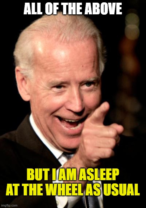 Smilin Biden Meme | ALL OF THE ABOVE BUT I AM ASLEEP AT THE WHEEL AS USUAL | image tagged in memes,smilin biden | made w/ Imgflip meme maker