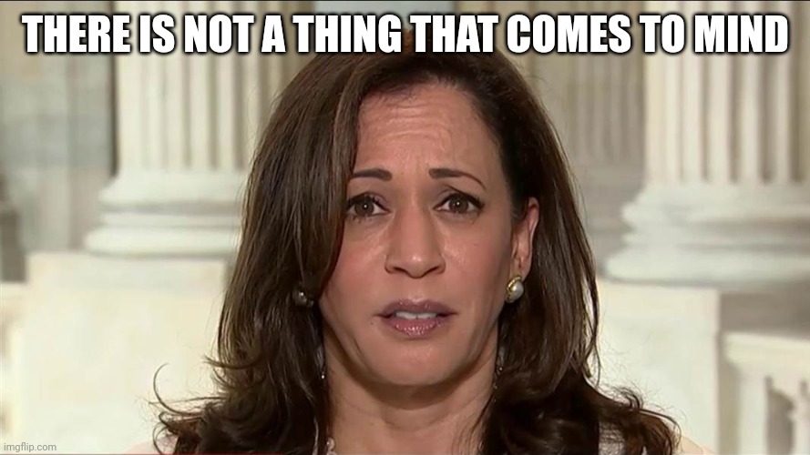 kamala harris | THERE IS NOT A THING THAT COMES TO MIND | image tagged in kamala harris | made w/ Imgflip meme maker