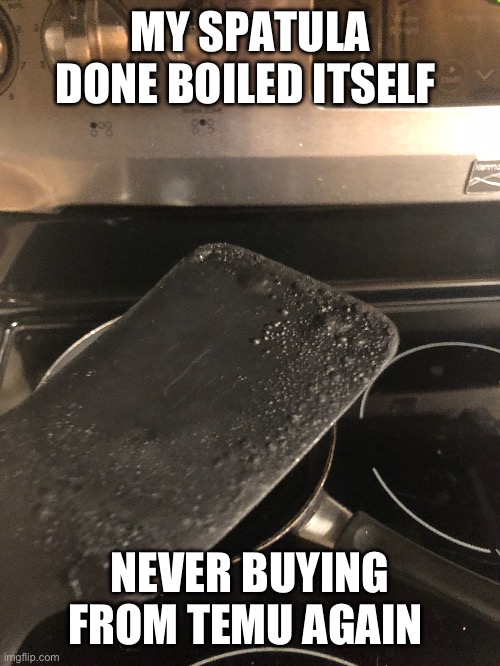 Temu sucks | MY SPATULA DONE BOILED ITSELF; NEVER BUYING FROM TEMU AGAIN | image tagged in memes,temu | made w/ Imgflip meme maker