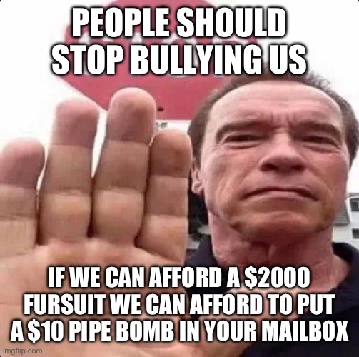 guy in front of stop sign | PEOPLE SHOULD STOP BULLYING US; IF WE CAN AFFORD A $2000 FURSUIT WE CAN AFFORD TO PUT A $10 PIPE BOMB IN YOUR MAILBOX | image tagged in guy in front of stop sign | made w/ Imgflip meme maker