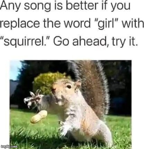 I ain't no hollaback squirrel | made w/ Imgflip meme maker