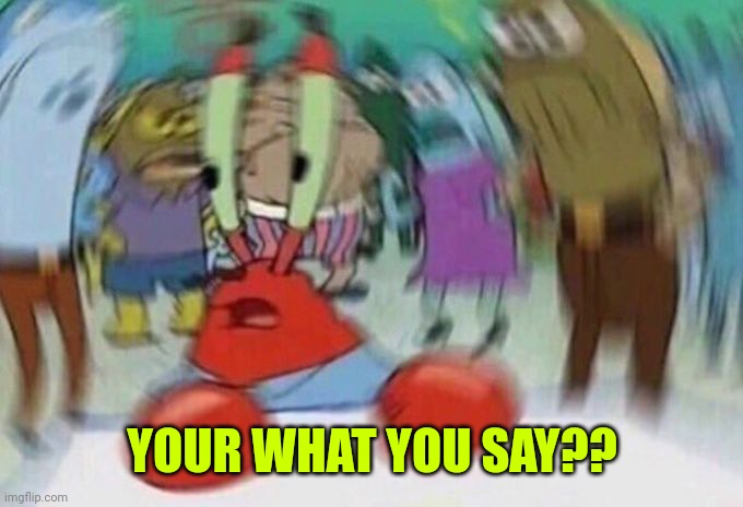 Mr Crabs | YOUR WHAT YOU SAY?? | image tagged in mr crabs | made w/ Imgflip meme maker