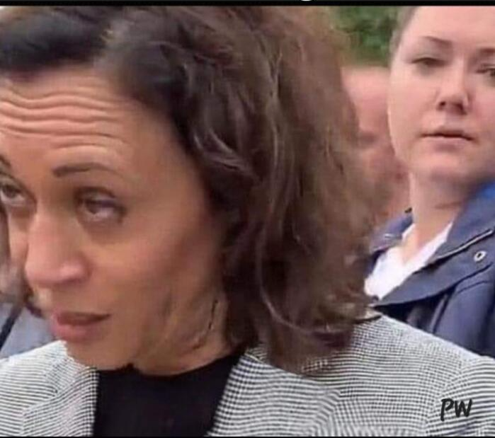 Hobama Harris drunk Blank Meme Template