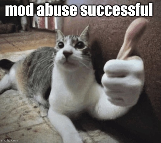 cat thumbs up | mod abuse successful | image tagged in cat thumbs up | made w/ Imgflip meme maker